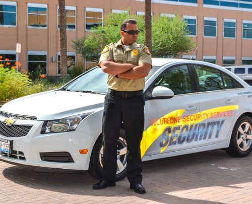 Tennessee 4HR Security Guard Course - Online Self-Paced